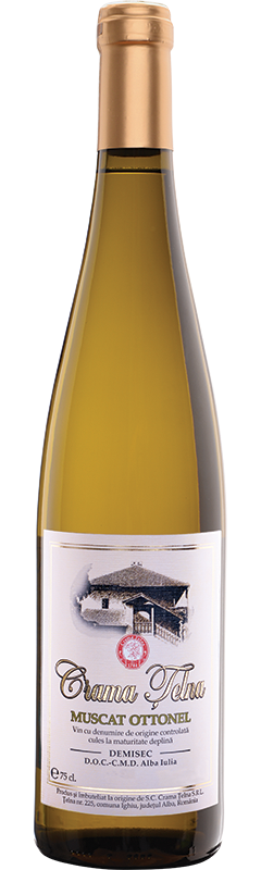 Muscat Ottonel