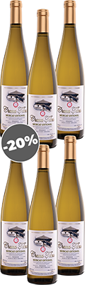 Pachet Muscat Ottonel